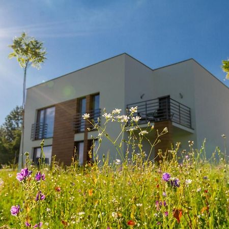 Apartmán Trzy Male Drzewka Wielka Wies  Exteriér fotografie